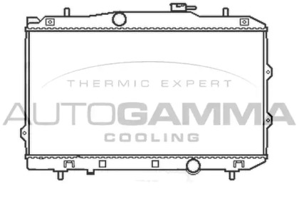 Теплообменник AUTOGAMMA 105411