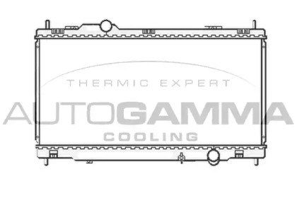 Теплообменник AUTOGAMMA 105414