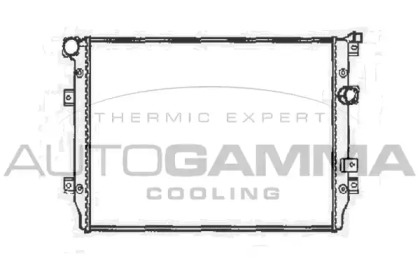 Теплообменник AUTOGAMMA 105418
