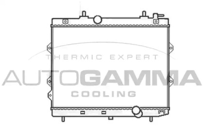 Теплообменник AUTOGAMMA 105437