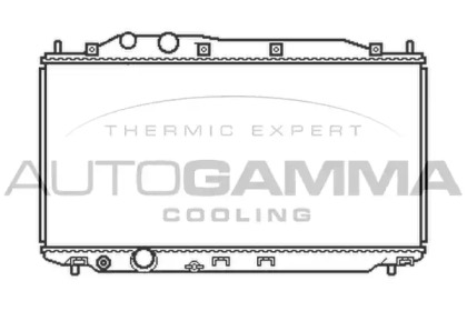 Теплообменник AUTOGAMMA 105485