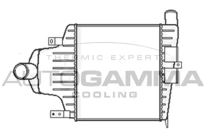 Теплообменник AUTOGAMMA 105502