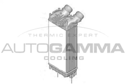 Интеркулер AUTOGAMMA 105528