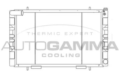 Теплообменник AUTOGAMMA 105566