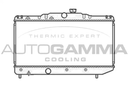 Теплообменник AUTOGAMMA 105575