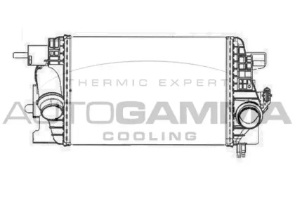 Теплообменник AUTOGAMMA 105630