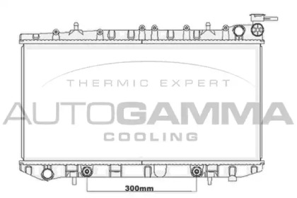 Теплообменник AUTOGAMMA 105653