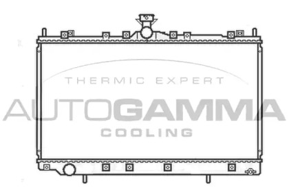 Теплообменник AUTOGAMMA 105659