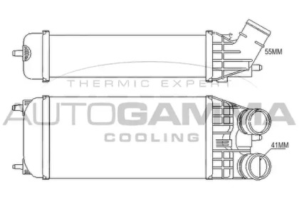 Интеркулер AUTOGAMMA 105675