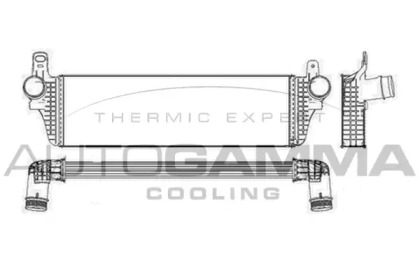 Теплообменник AUTOGAMMA 105678