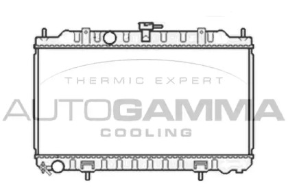 Теплообменник AUTOGAMMA 105810