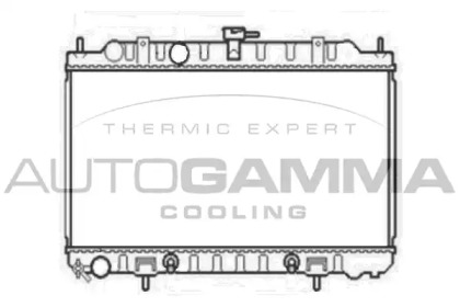 Теплообменник AUTOGAMMA 105811