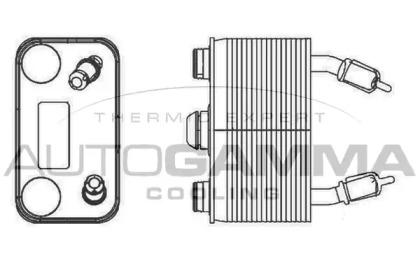 Теплообменник AUTOGAMMA 105815