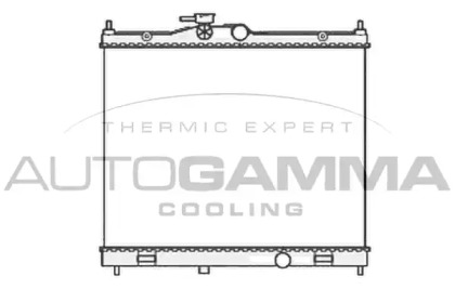 Теплообменник AUTOGAMMA 105875