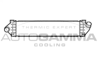 Теплообменник AUTOGAMMA 105891