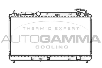 Теплообменник AUTOGAMMA 105922