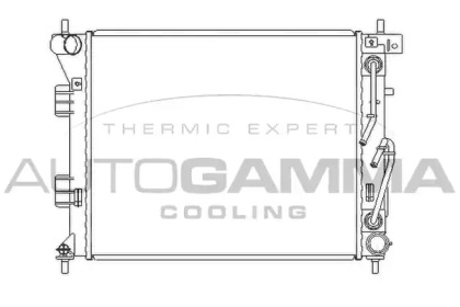 Радиатор, охлаждение двигателя AUTOGAMMA 105989