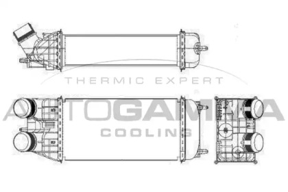 Интеркулер AUTOGAMMA 105995