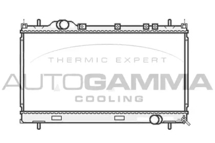 Теплообменник AUTOGAMMA 107015