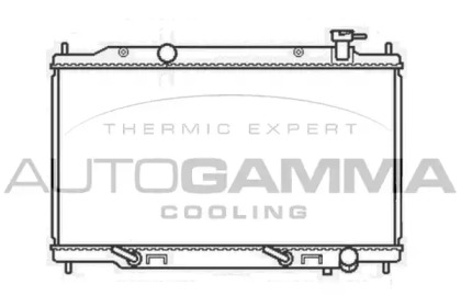 Теплообменник AUTOGAMMA 107017