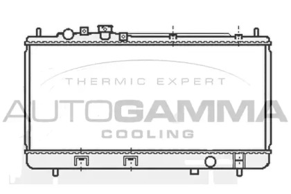 Теплообменник AUTOGAMMA 107038