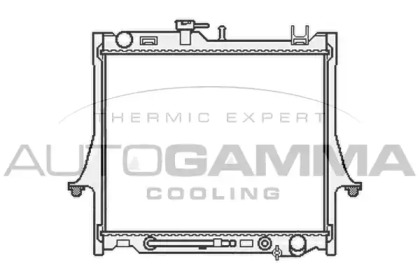 Теплообменник AUTOGAMMA 107045