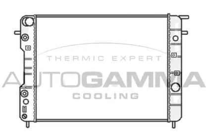 Теплообменник AUTOGAMMA 107046