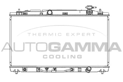 Теплообменник AUTOGAMMA 107062