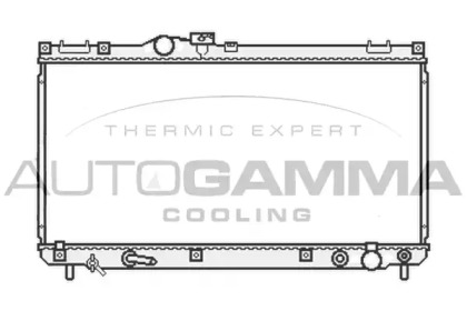 Теплообменник AUTOGAMMA 107063