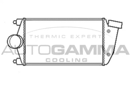 Интеркулер AUTOGAMMA 107065