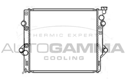Теплообменник AUTOGAMMA 107135