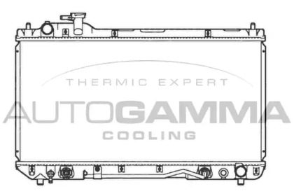 Теплообменник AUTOGAMMA 107189