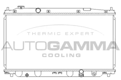 Теплообменник AUTOGAMMA 107218