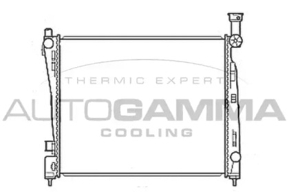 Теплообменник AUTOGAMMA 107220