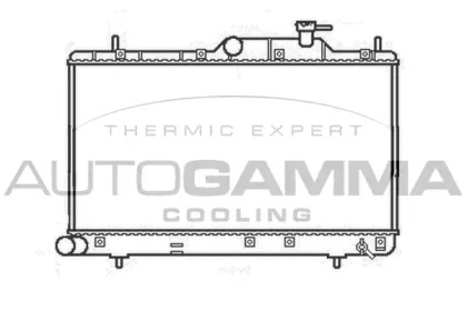 Теплообменник AUTOGAMMA 107249