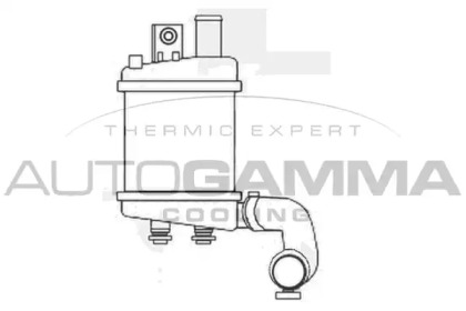 Теплообменник AUTOGAMMA 107322