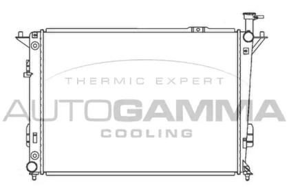 Теплообменник AUTOGAMMA 107330