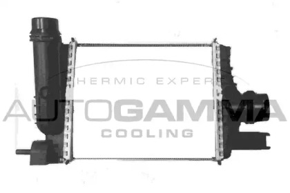 Теплообменник AUTOGAMMA 107337