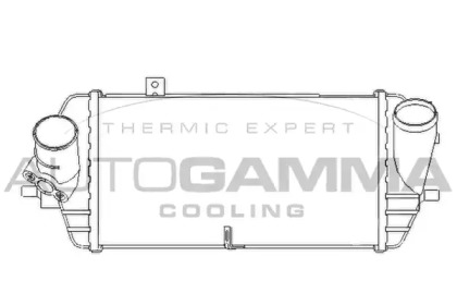 Интеркулер AUTOGAMMA 107340