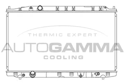 Теплообменник AUTOGAMMA 107364