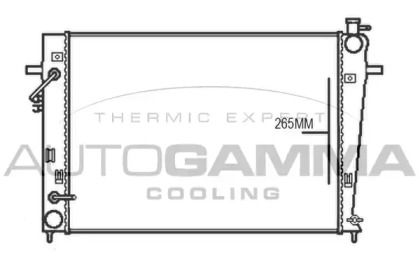 Теплообменник AUTOGAMMA 107376