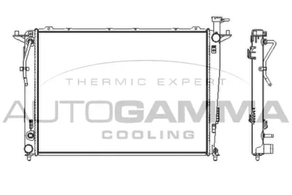 Теплообменник AUTOGAMMA 107384