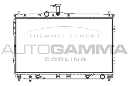 Теплообменник AUTOGAMMA 107393