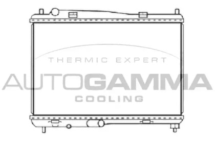 Теплообменник AUTOGAMMA 107415