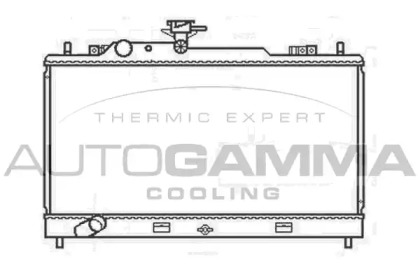 Теплообменник AUTOGAMMA 107426