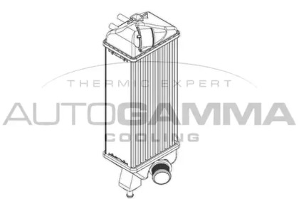 Интеркулер AUTOGAMMA 107451