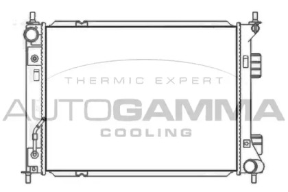 Теплообменник AUTOGAMMA 107490