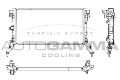 Радиатор, охлаждение двигателя AUTOGAMMA 107536