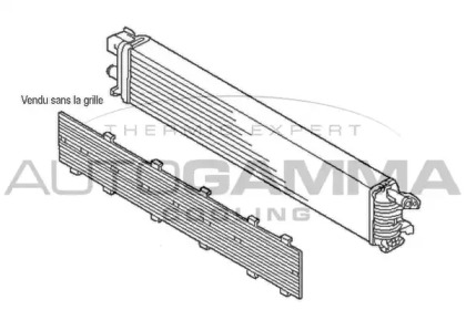 Теплообменник AUTOGAMMA 107565