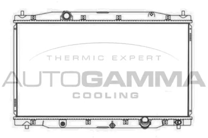Теплообменник AUTOGAMMA 107578